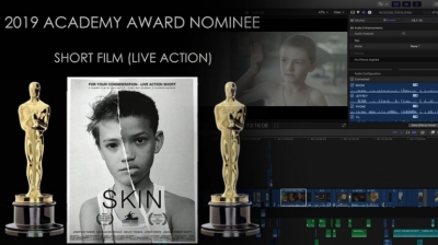 Skin best live action short film nominee 2019 Academy Awards